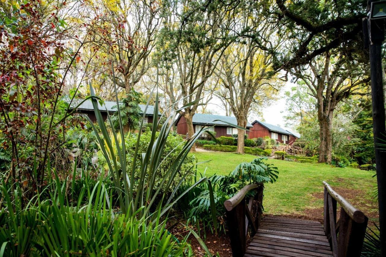 Naro Moru River Lodge Eksteriør billede