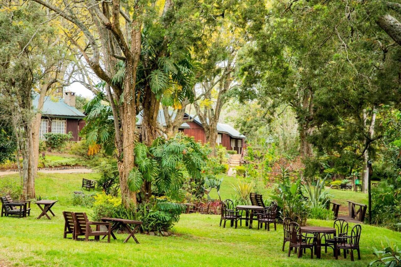 Naro Moru River Lodge Eksteriør billede
