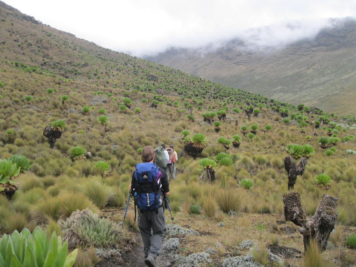 Naro Moru River Lodge Eksteriør billede