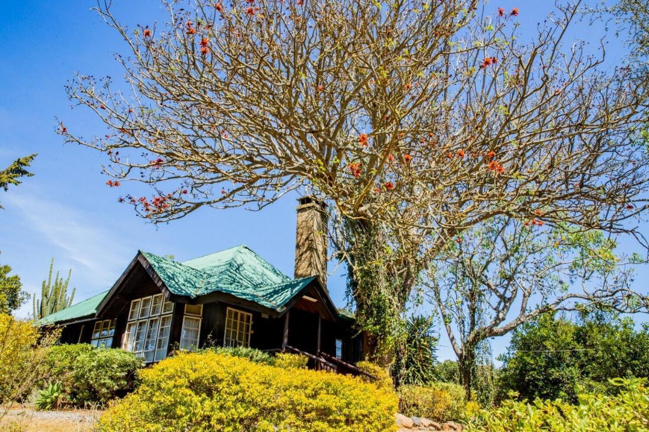 Naro Moru River Lodge Eksteriør billede