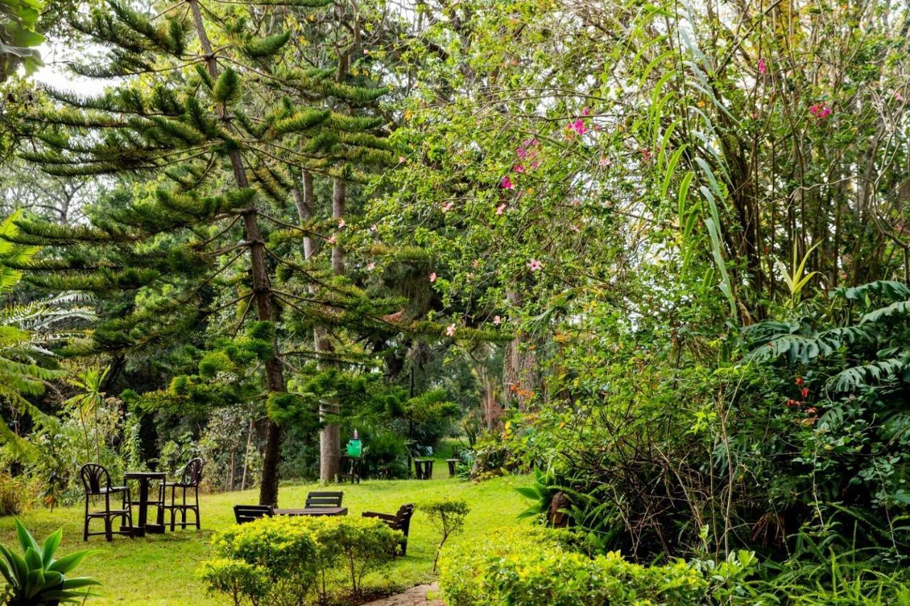Naro Moru River Lodge Eksteriør billede
