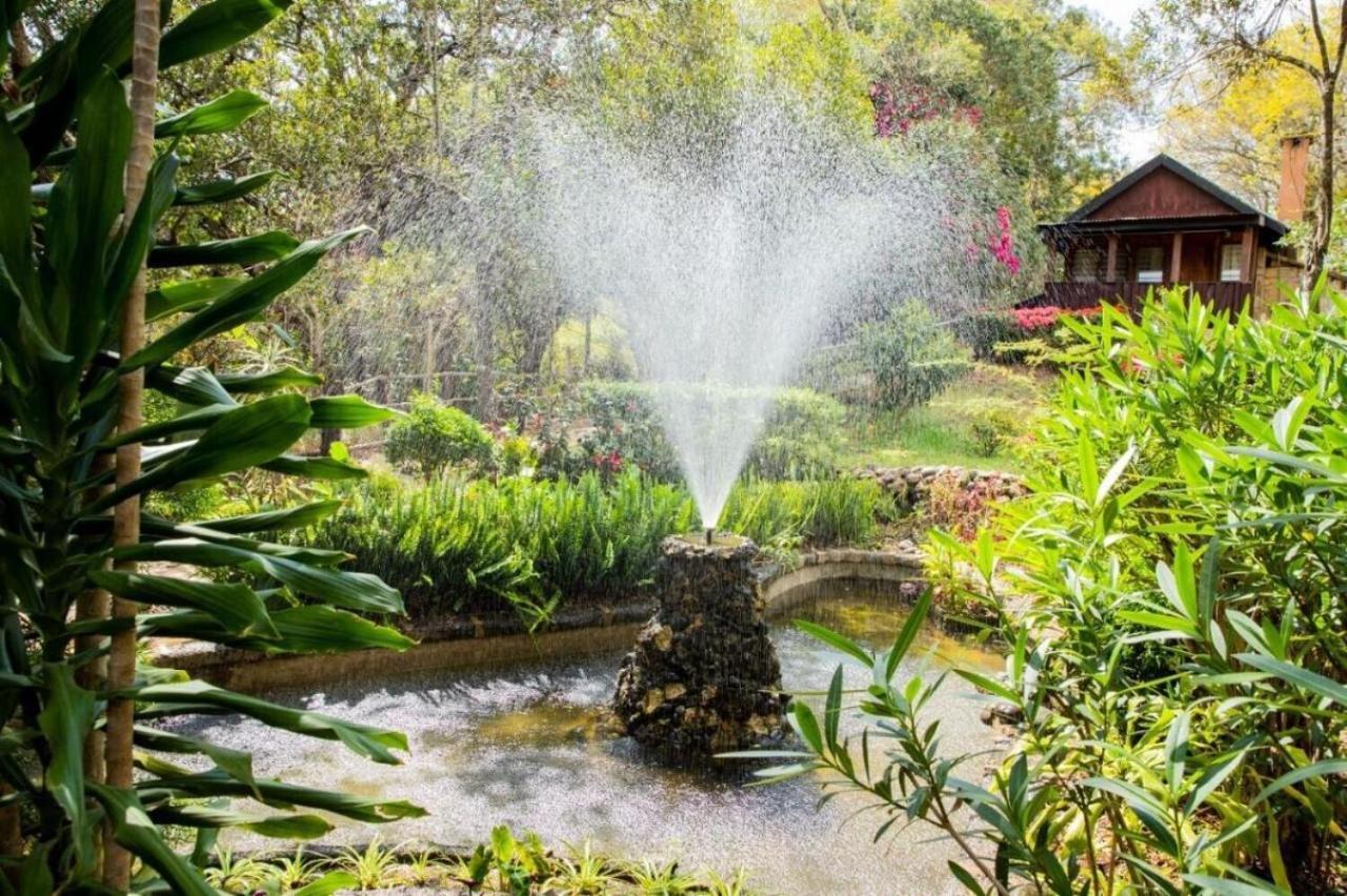 Naro Moru River Lodge Eksteriør billede