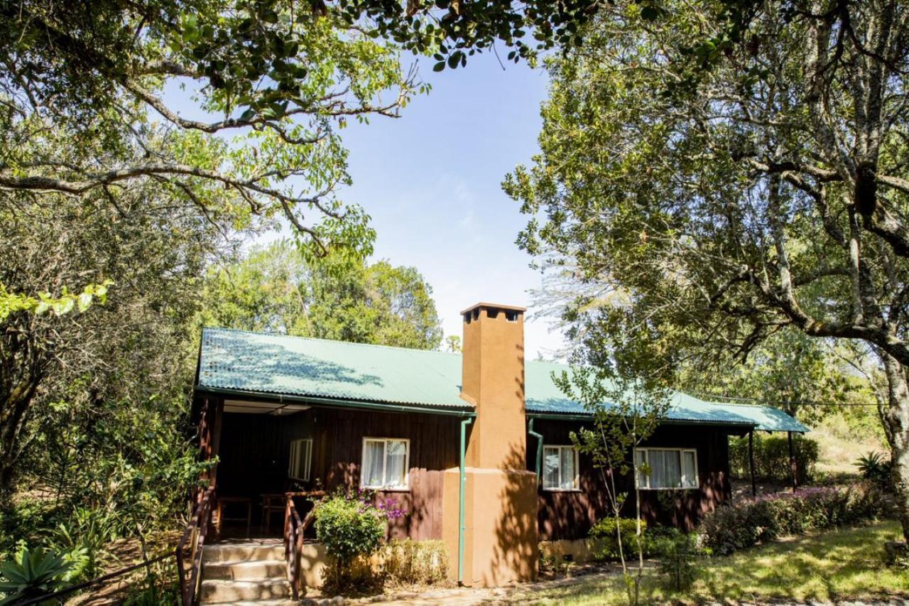 Naro Moru River Lodge Eksteriør billede